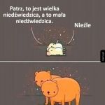 Niedźwiedzice