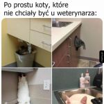 Wizyta