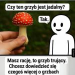 Na grzyby z AI.