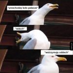 Hehe