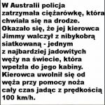 Typowe