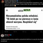 Niesamodzielność