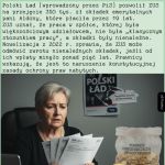 Piramida finansowa