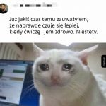 Niestety