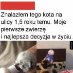 Słodziak