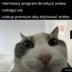 Przeważnie tak jest