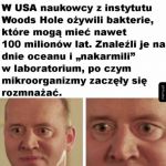 Po co?