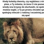 Nie udało się zwalić na żonę