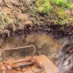 Walizka zapakowana na drogę do stwórcy