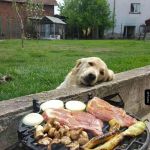 Nigdy nie przestawaj marzyć