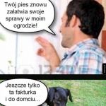 Pozałatwia i sobie pójdzie