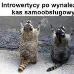 Introwertyk
