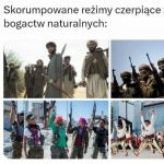 Skorumpowane reżimy