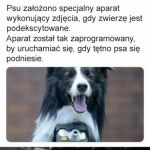 Wartościowy kontent