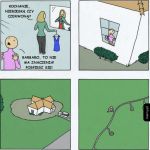 Wszystko ma znaczenie