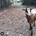 Dokładnie tego się spodziewałem