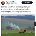 Zielony ład zbiera swoje żniwo