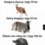 Wniosek jest prosty