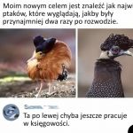 Rozwodnice