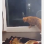 Wow, jaki ładny sufit