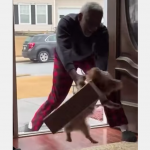 Terrorysta z Yorkshire