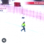 Najlepszy dzień w psim życiu