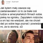 Delikatnie się pomylili