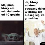 Kochana morda