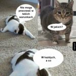 Nie mogę i już
