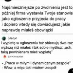 Sporo się można dowiedzieć z takiego ogłoszenia