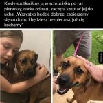 Miłość od pierwszego wejrzenia