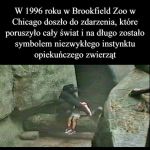 Zdarzenie, kt&oacute;re poruszyło cały świat