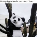 Śnieżna panda