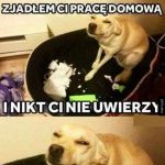 a to maly skurczybyk ....