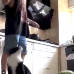 Gł&oacute;wka pracuje