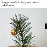 Podobno minimalizm jest modny.