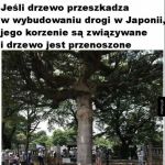 Kraj kwitnącej wiśni