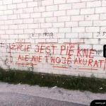 Życie jest jak poczekalnia na kwejku.