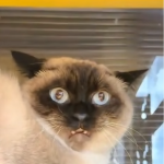 Jak postępować z rozgniewaną kobietą: