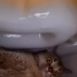 To jego ulubione miejsce