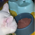 Wszystkiego po troszku