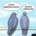 Obserowanie i oznaczanie