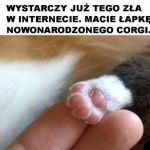 Nareszcie normalny mem