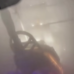 Ahoj! Szczury lądowe!