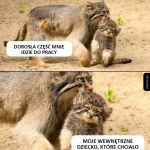 Każdy ma w sobie wewnętrzne dziecko