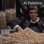 Już wiadomo kto trzyma łapy na pellecie