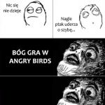 Angry birds