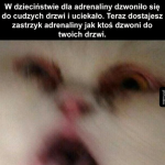 Niezapomniany dreszczyk emocji