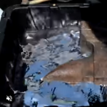 Rtęć jest tak gęsta, że ​​pływa w niej żelazny kowadło.