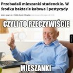Wszystko się zgadza